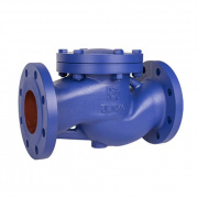 Клапан обратный подьемный RUSHWORK - Ду25 (ф/ф, PN16, Tmax 250°C, kvs 11.5, чугун)